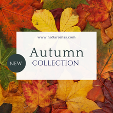 Load image into Gallery viewer, Autumn Collection
